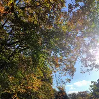 益子県立自然公園 益子の森の写真・動画_image_777244