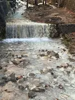 鹿の湯の写真・動画_image_777258