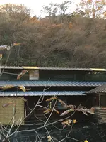 鹿の湯の写真・動画_image_777260