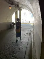 袋田の滝の写真・動画_image_777273