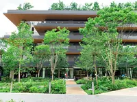 グリーンスプリングスの写真・動画_image_781564