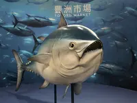 豊洲市場の写真・動画_image_781615