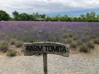 ファーム富田の写真・動画_image_782156