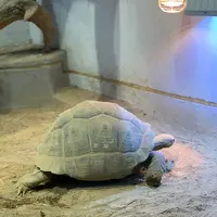 NIFREL（ニフレル）の写真・動画_image_786057