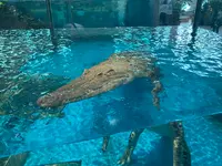 NIFREL（ニフレル）の写真・動画_image_786059