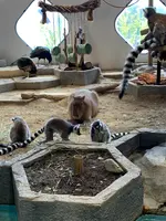 NIFREL（ニフレル）の写真・動画_image_786060