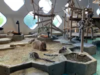 NIFREL（ニフレル）の写真・動画_image_786061