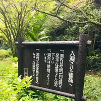 秋芳洞の写真・動画_image_787599
