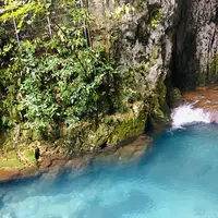 秋芳洞の写真・動画_image_787601