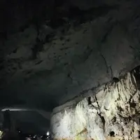 秋芳洞の写真・動画_image_787603