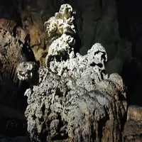 秋芳洞の写真・動画_image_787607