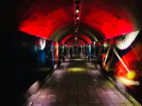 秋芳洞の写真・動画_image_787608