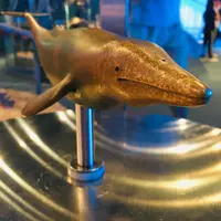 名古屋港水族館の写真・動画_image_787617