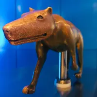 名古屋港水族館の写真・動画_image_787618