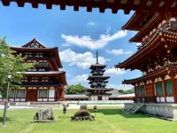 薬師寺の写真・動画_image_788826