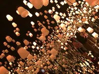 【閉業】森ビルデジタルアートミュージアム：エプソン チームラボボーダレス（MORI Building Digital Art Museum: EPSON teamLab Borderless）の写真・動画_image_789114