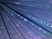 【閉業】森ビルデジタルアートミュージアム：エプソン チームラボボーダレス（MORI Building Digital Art Museum: EPSON teamLab Borderless）の写真・動画_image_789115