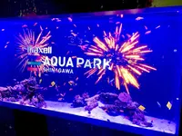 マクセル アクアパーク品川の写真・動画_image_789177