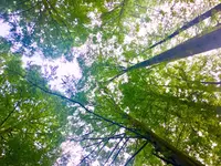 かわさき宙と緑の科学館の写真・動画_image_789212