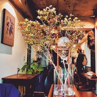 knock coffeeの写真・動画_image_789243