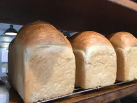 COBATO836の写真・動画_image_790788