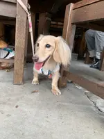山小屋の写真・動画_image_791467