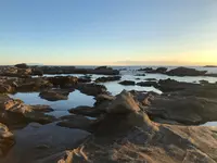 城ヶ島 馬の背洞門の写真・動画_image_794125