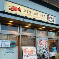 魚路の写真・動画_image_794466