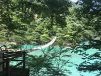 夢の吊橋の写真・動画_image_795127
