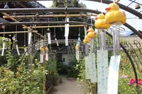 おふさ観音の写真・動画_image_795570
