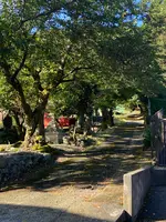 若狭鯖街道熊川宿の写真・動画_image_800655