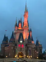 東京ディズニーランドの写真・動画_image_801018