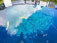 忍野八海の写真・動画_image_802270