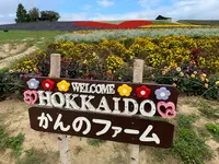 ジェットコースターの路の写真・動画_image_802983