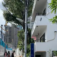 da olmoの写真・動画_image_803727