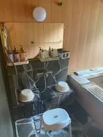 菊池渓谷温泉岩蔵の写真・動画_image_805997
