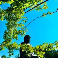 塩澤山 寳光寺 鹿野大佛の写真・動画_image_808230