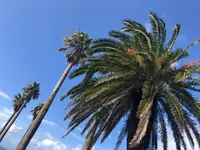 七ツ釜の写真・動画_image_808489