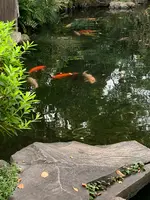 靖國神社の写真・動画_image_811179
