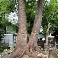 鳩ケ谷氷川神社の写真・動画_image_811950