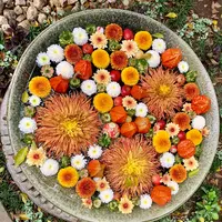 行田八幡神社の写真・動画_image_812327