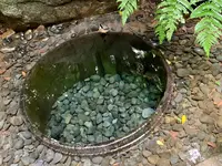 明治神宮の写真・動画_image_816146