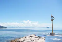 星のビーチの写真・動画_image_816629