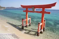 厳島神社の写真・動画_image_816632