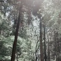 天拝山歴史自然公園の写真・動画_image_820039