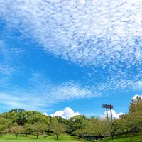 春日公園の写真・動画_image_820126