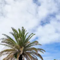 i+Land nagasakiの写真・動画_image_820133