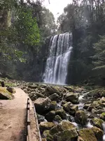 桜滝の写真・動画_image_820239