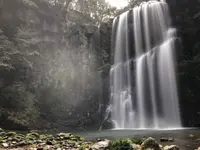桜滝の写真・動画_image_820240