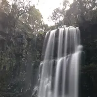 桜滝の写真・動画_image_820241